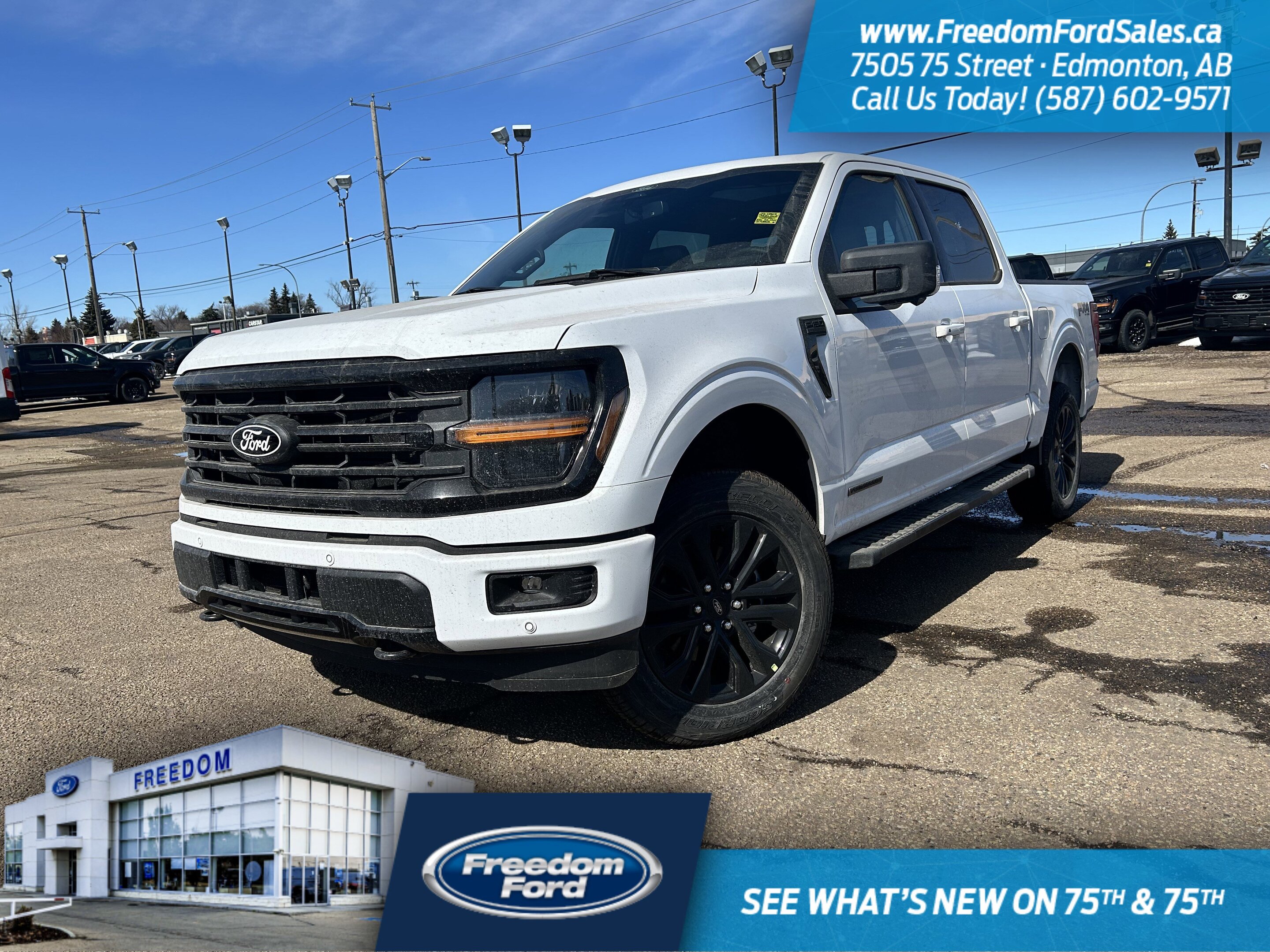 2025 Ford F-150 XLT | 303A | 4X4 | SuperCrew 145