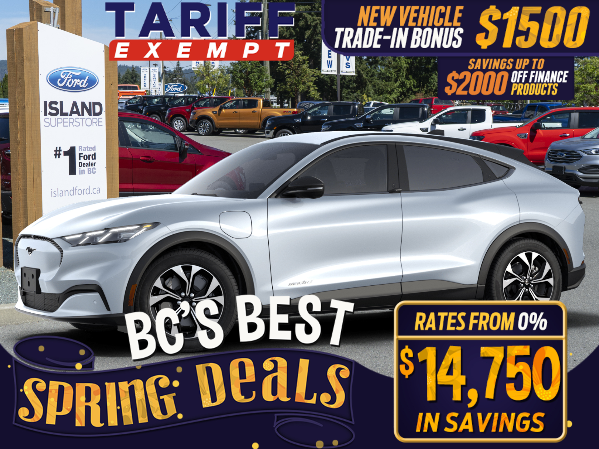 2024 Ford Mustang Mach-E Select RWD 72kWh LFP Std Battery