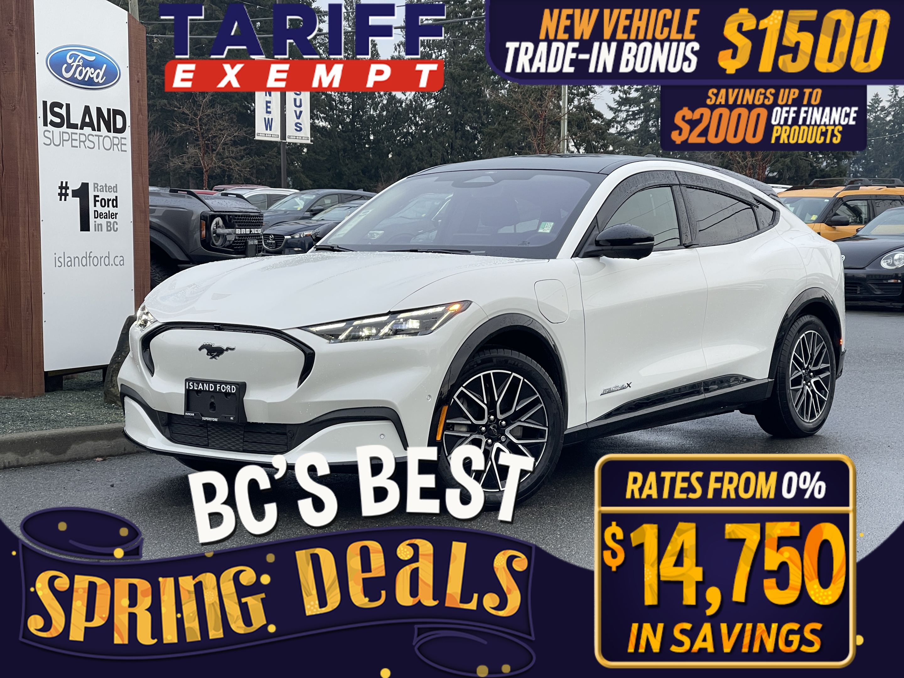 2024 Ford Mustang Mach-E Premium AWD 91KWh Extended Range Battery