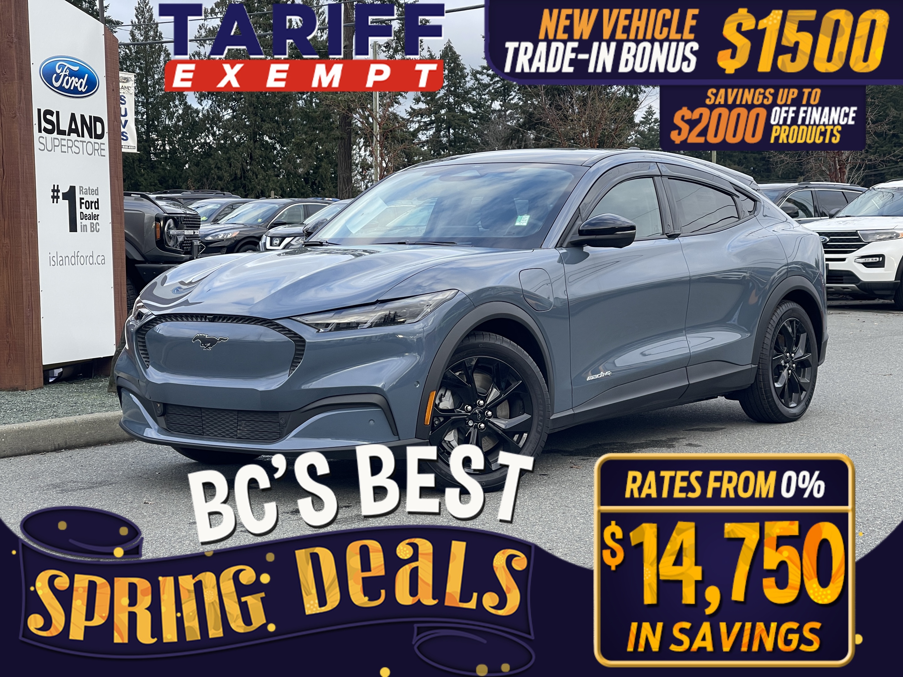 2024 Ford Mustang Mach-E Select RWD 72kWh LFP Std Battery