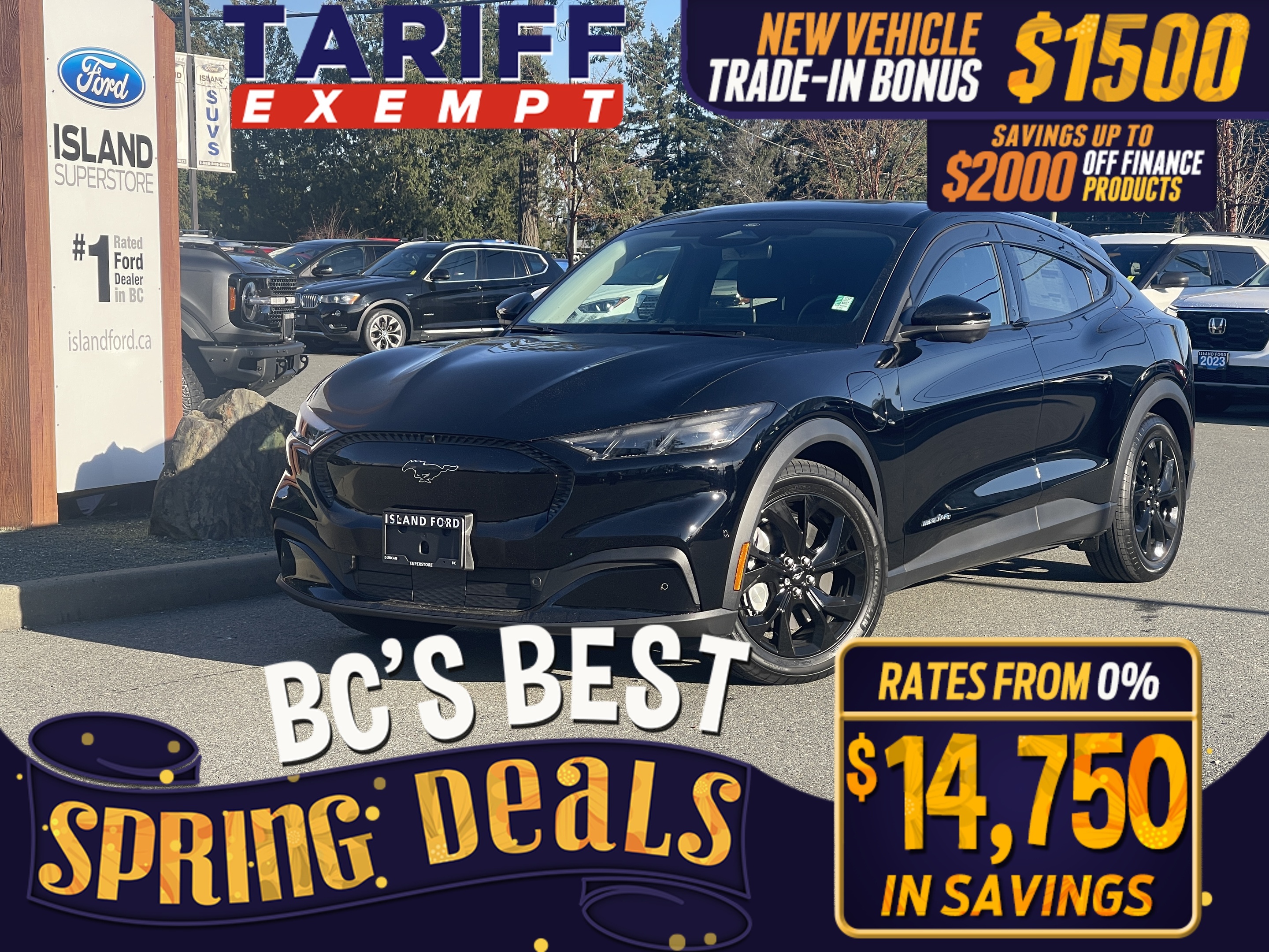 2024 Ford Mustang Mach-E Select RWD 72kWh LFP Std Battery