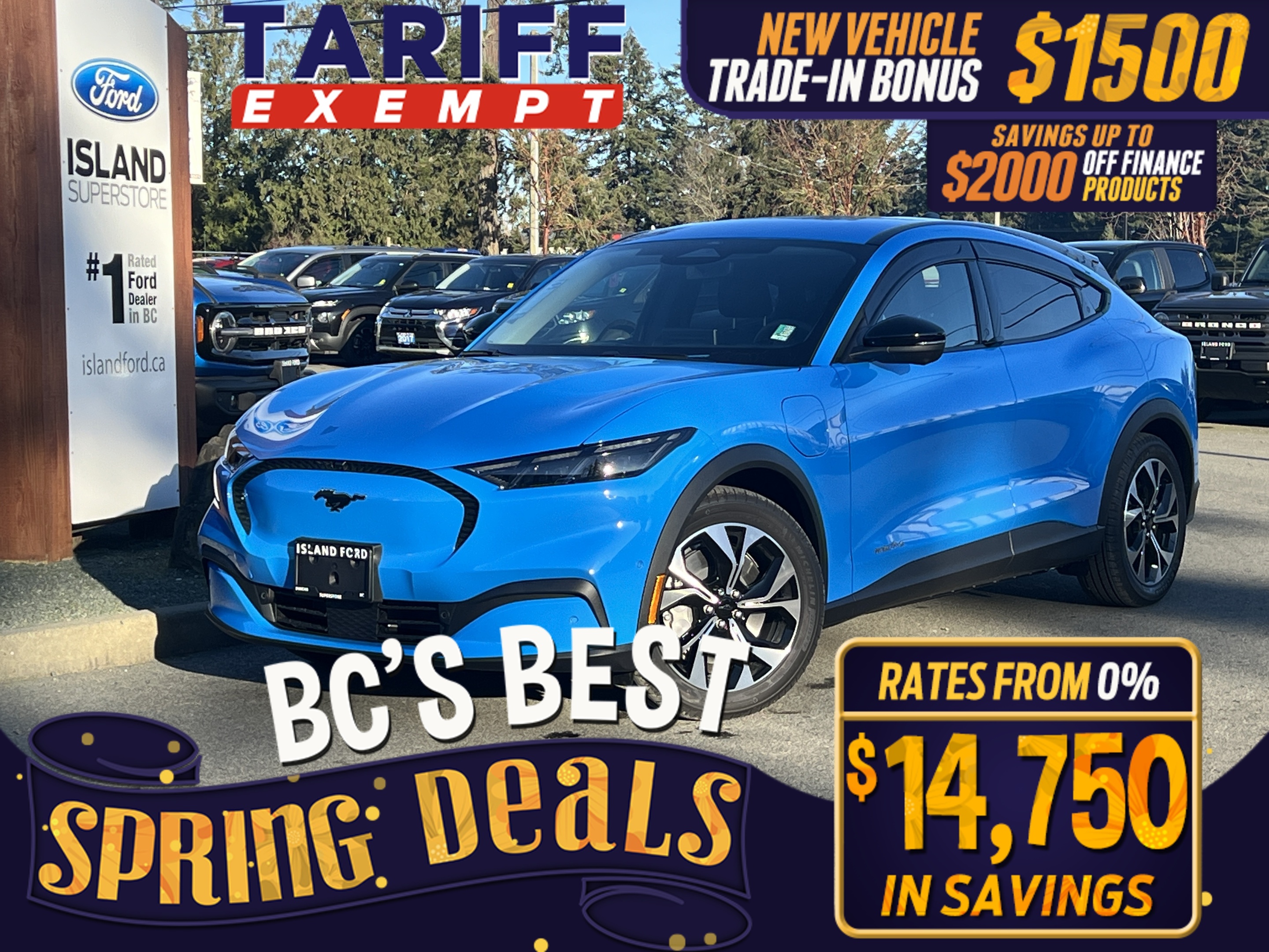 2024 Ford Mustang Mach-E Select RWD 72kWh LFP Std Battery