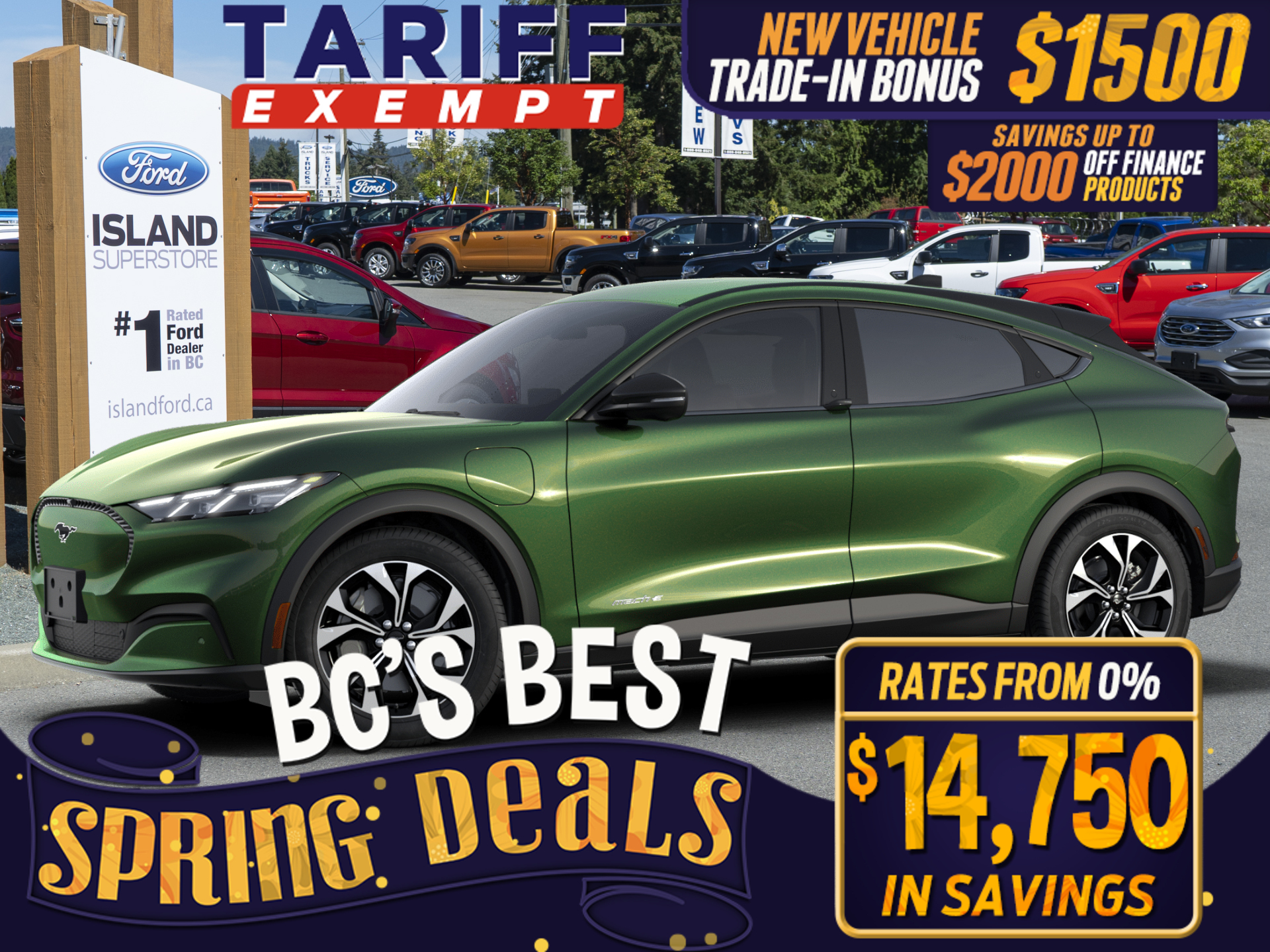 2024 Ford Mustang Mach-E Select RWD 72kWh LFP Std Battery