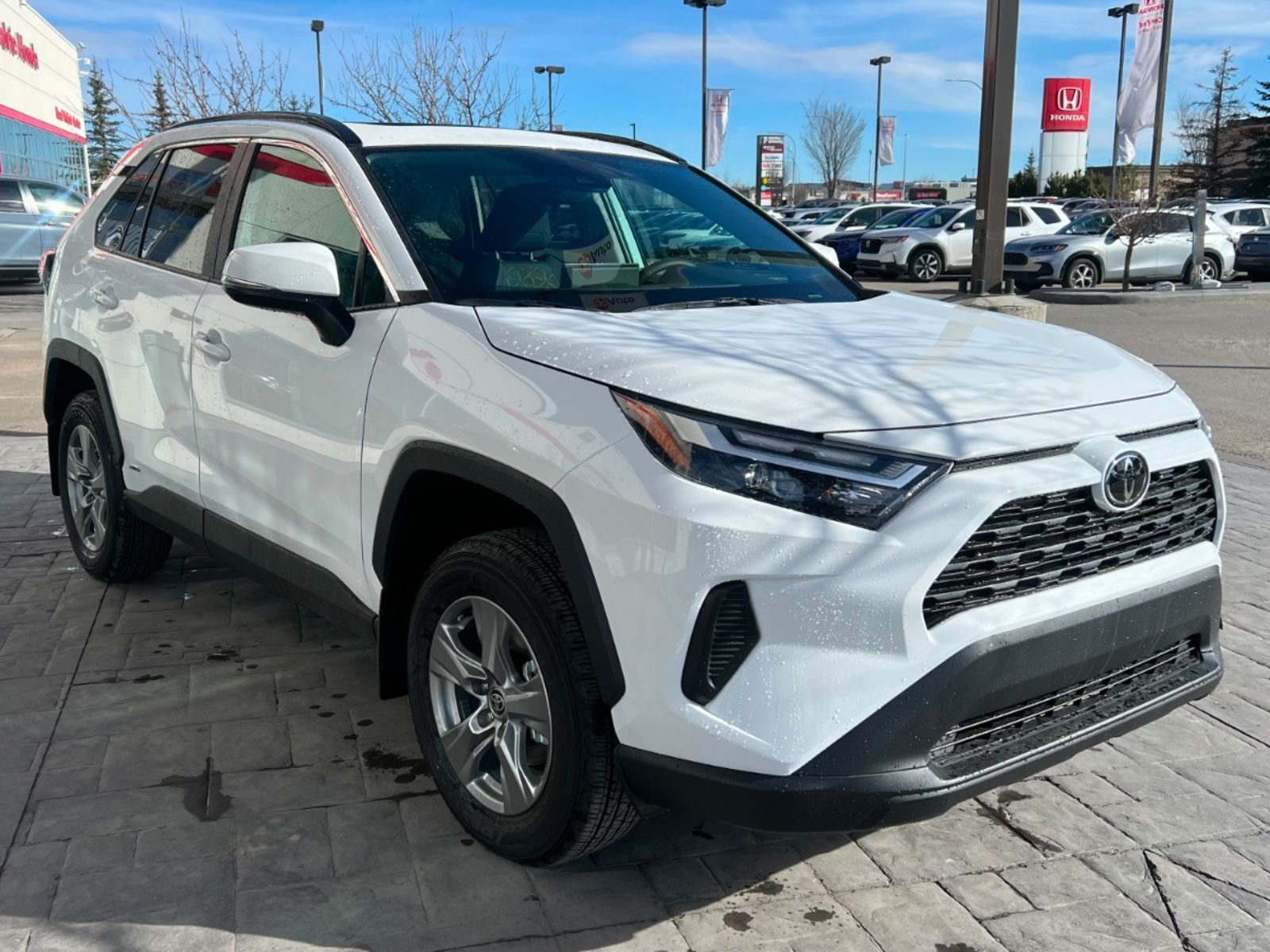 2023 Toyota RAV4 XLE- No Accidents, Sunroof, AWD!
