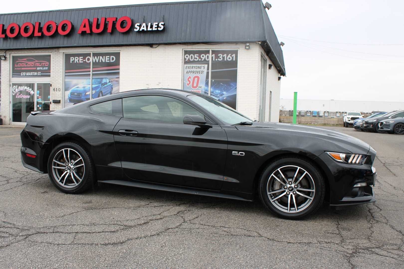 2017 Ford Mustang GT Premium Coupe 5.0L V8 Automatic Camera Safety C