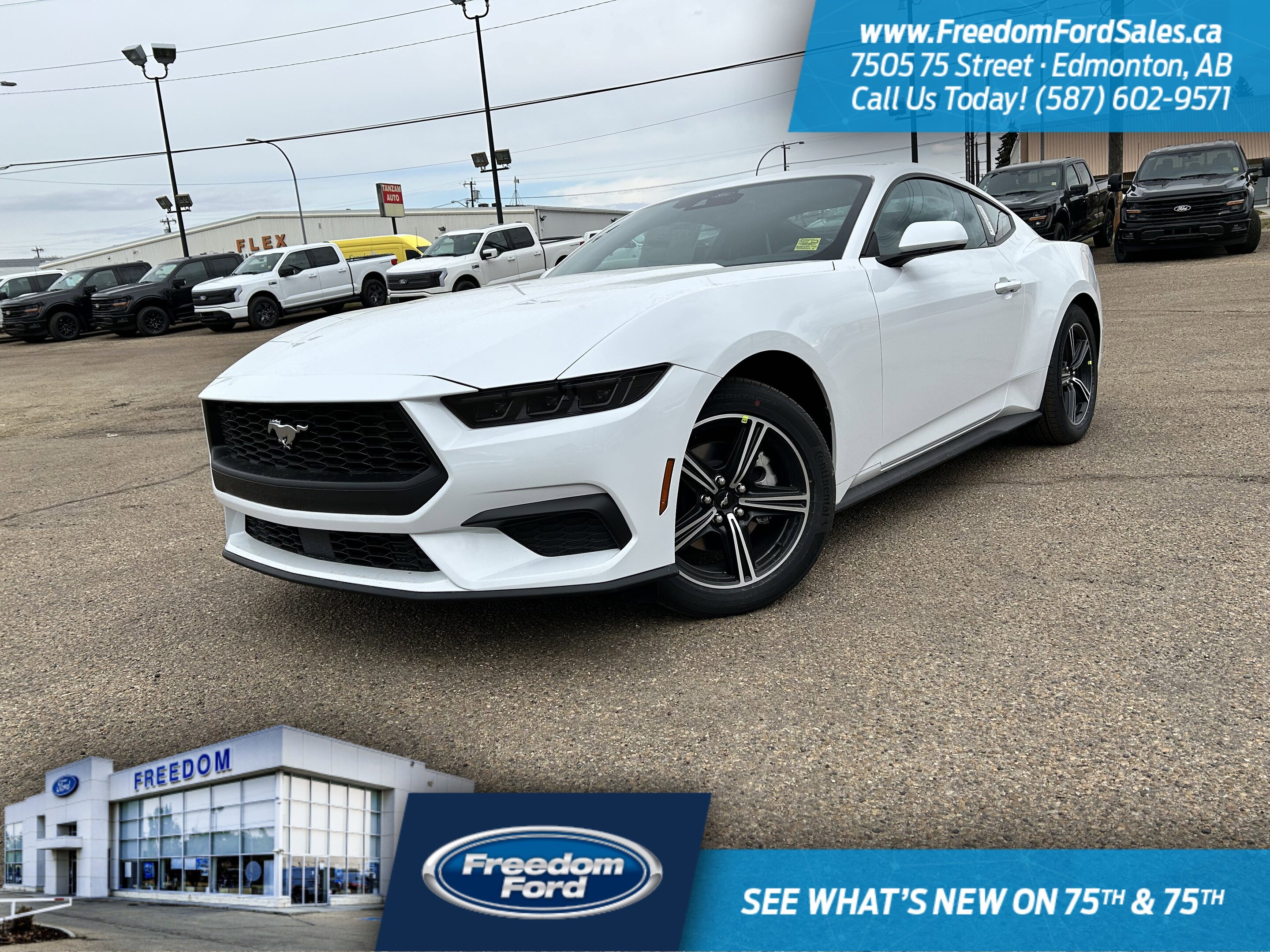 2025 Ford Mustang EcoBoost