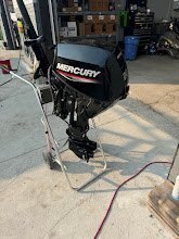 2022 Mercury 20elpt 