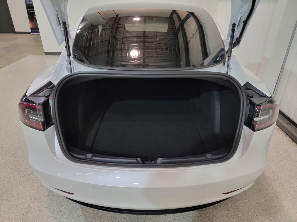 Tesla Model 3 2020 Tesla Model 3 2020
