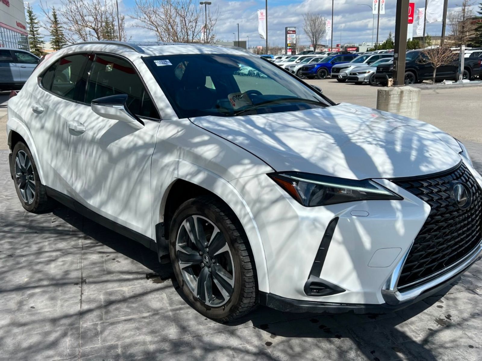 2023 Lexus UX UX 250h: Hybrid No Accidents, Sunroof, Leather!