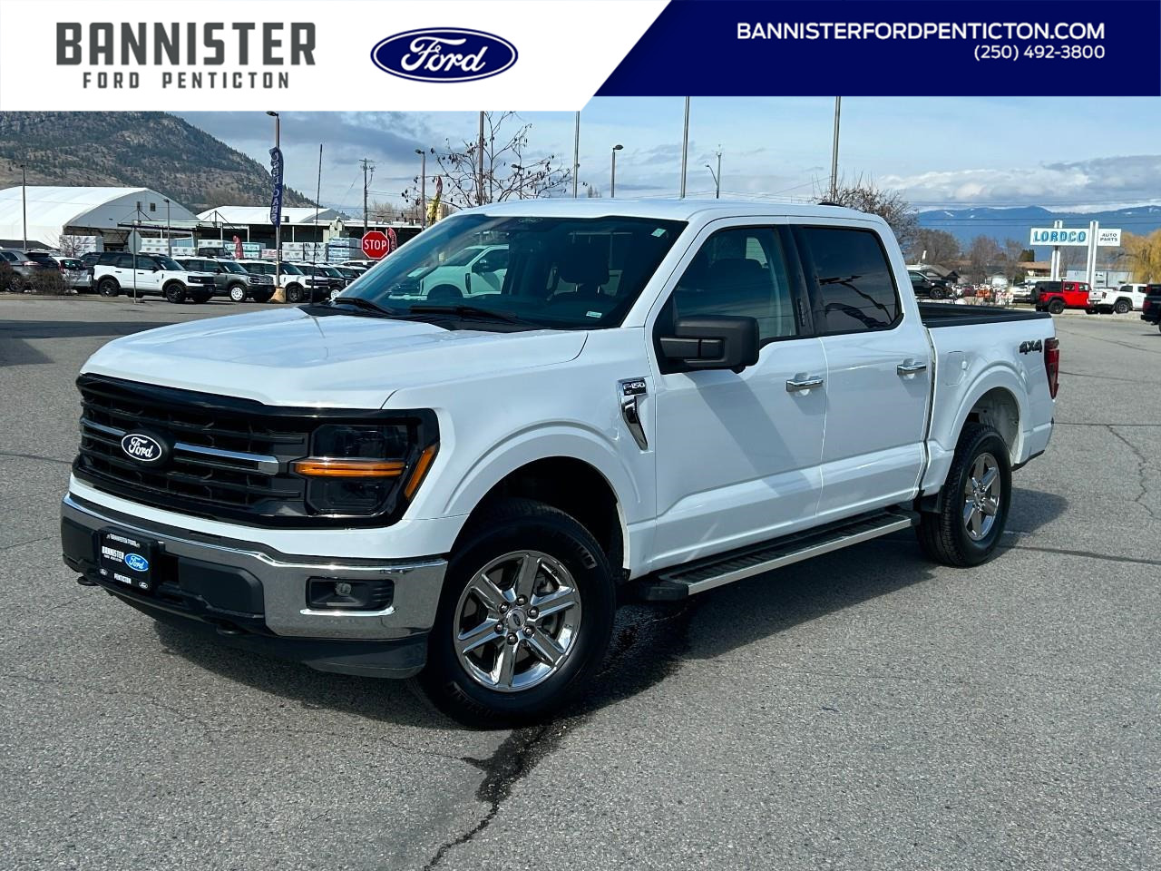 2024 Ford F-150 XLT
