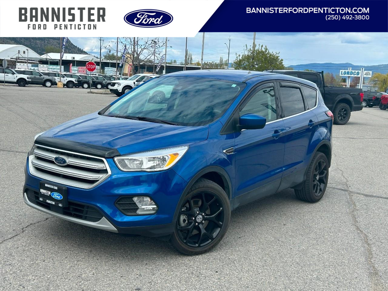2019 Ford Escape SE