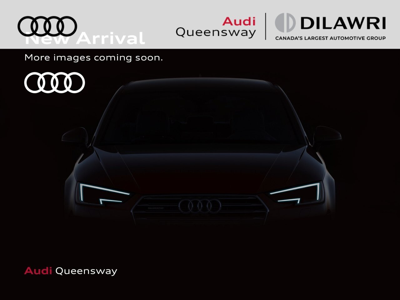 2025 Audi Q8 Technik | OLED lights | B&O | Air suspension | HUD