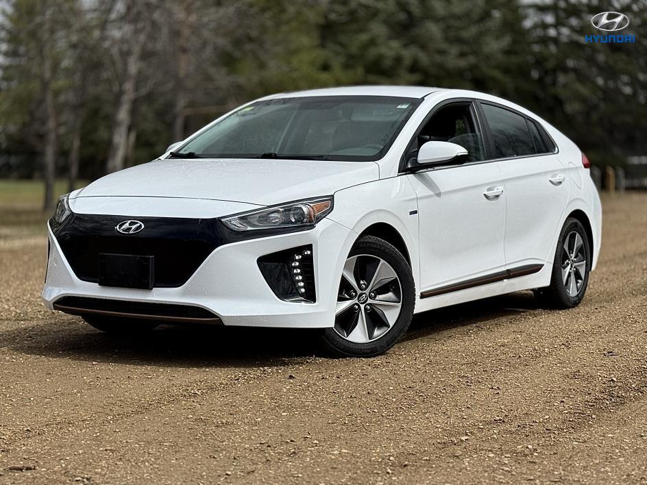 2019 Hyundai Ioniq Electric Limited