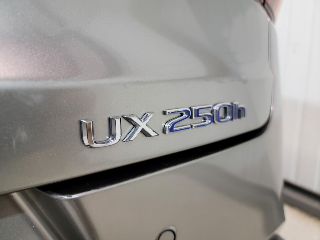 Lexus UX 2019