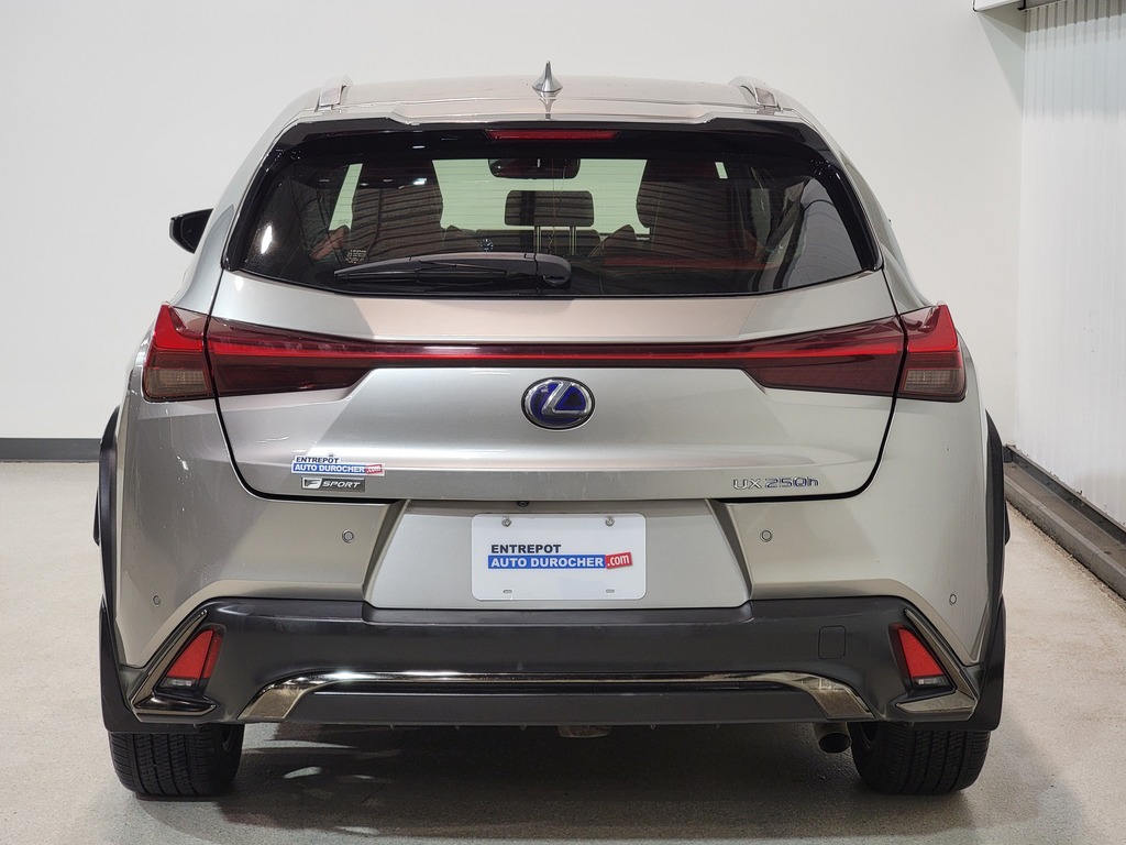 Lexus UX 2019