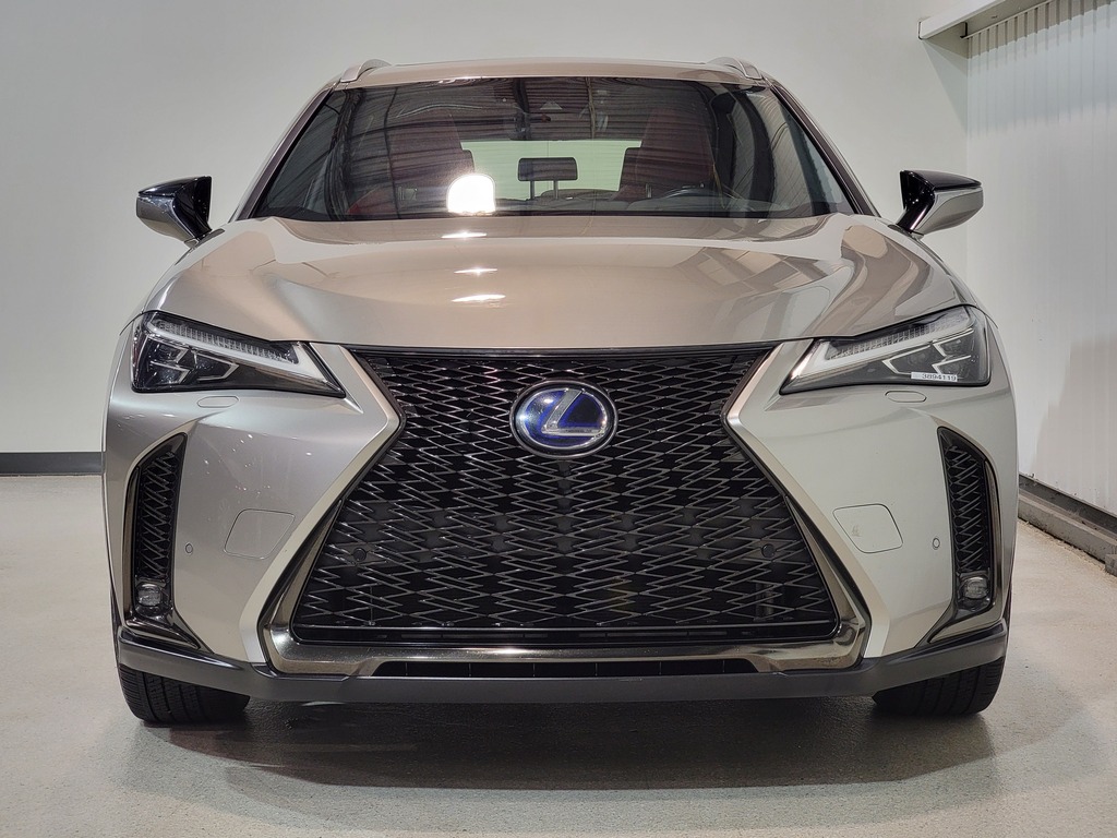 Lexus UX 2019