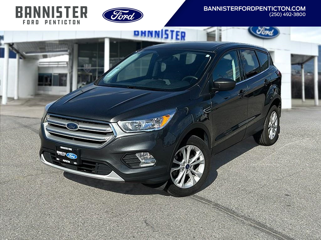 2019 Ford Escape SE