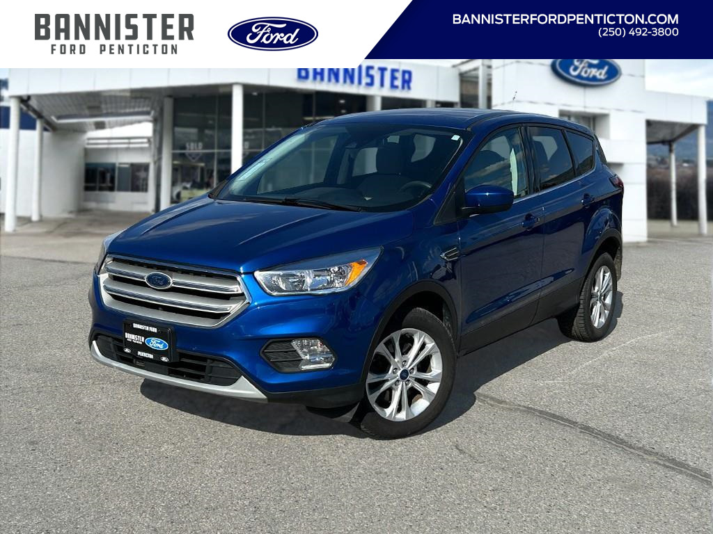 2019 Ford Escape SE