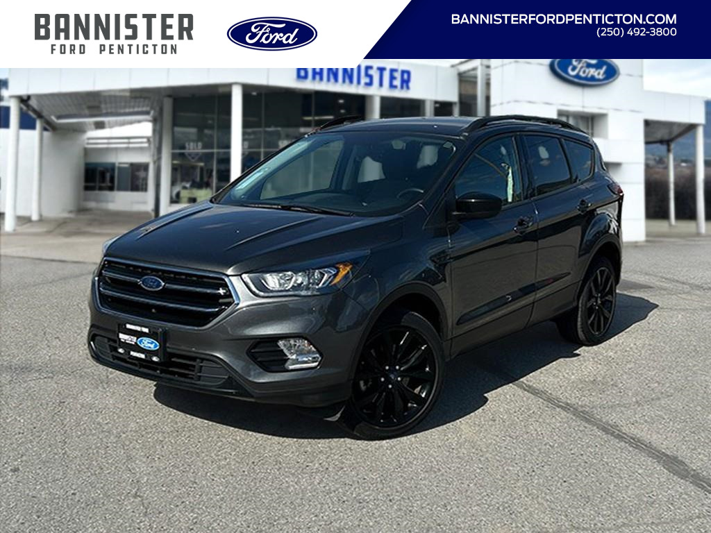2019 Ford Escape SE