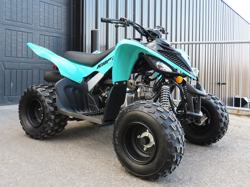 2025 Yamaha Raptor 110 