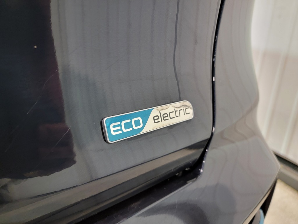 Kia Niro EV 2020