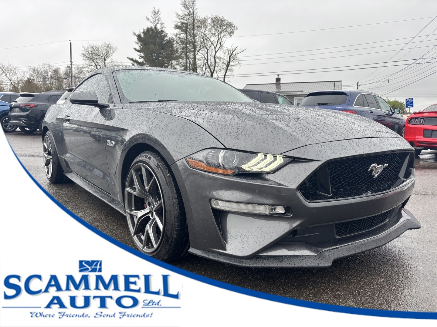 2019 Ford Mustang GT / PREMIUM COUPE