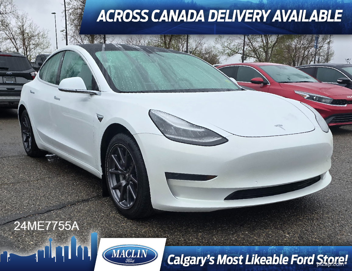 2019 Tesla Model 3 STANDARD RANGE PLUS