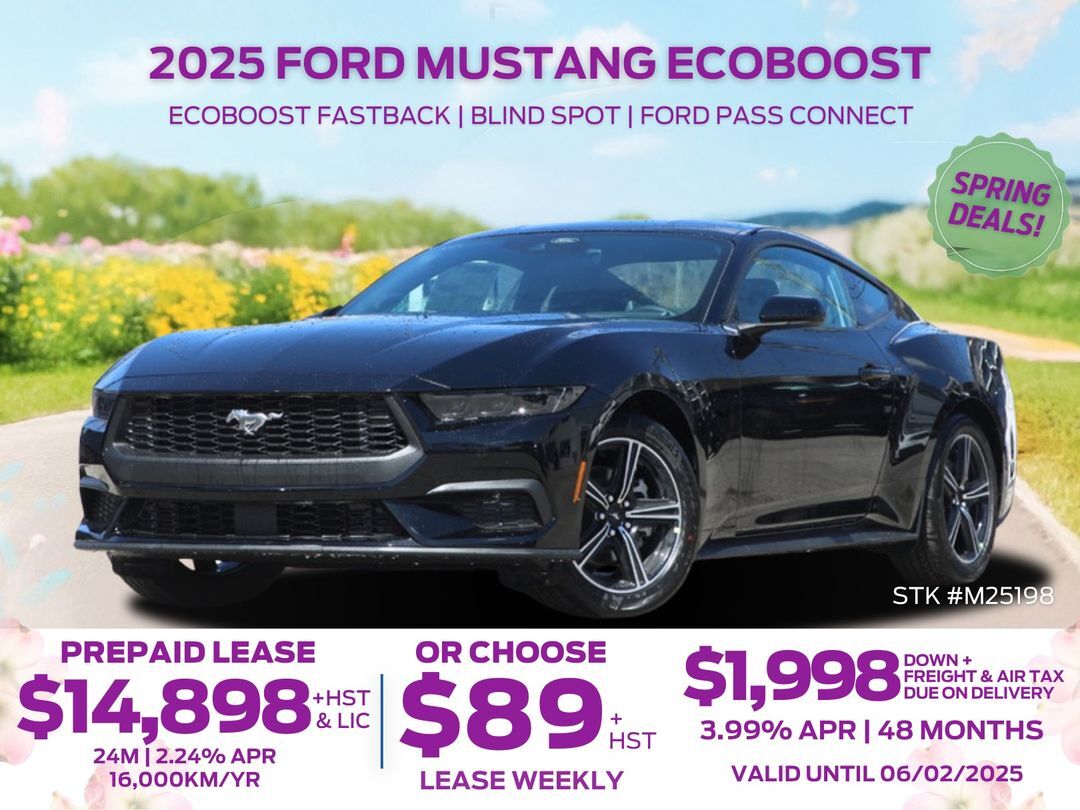 2025 Ford Mustang 
