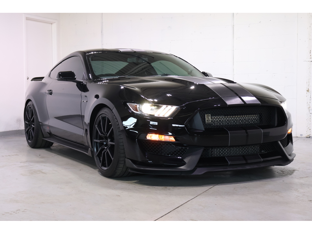 2017 Ford Shelby GT350 Shelby, Toronto, Cash