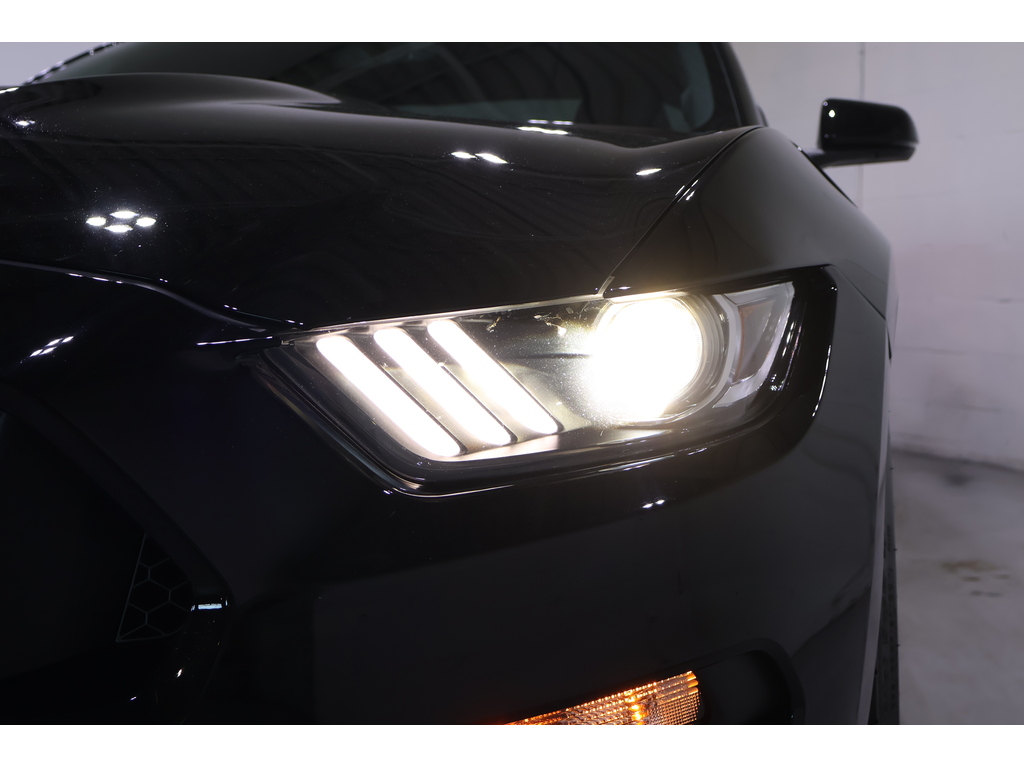 2017 Ford Shelby GT350 Shelby, Toronto, Cash