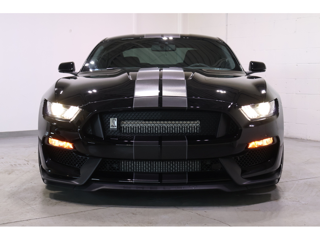 2017 Ford Shelby GT350 Shelby, Toronto, Cash