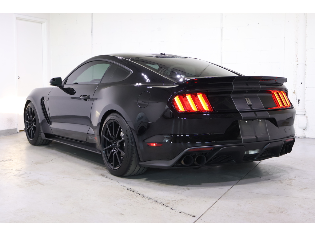 2017 Ford Shelby GT350 Shelby, Toronto, Cash
