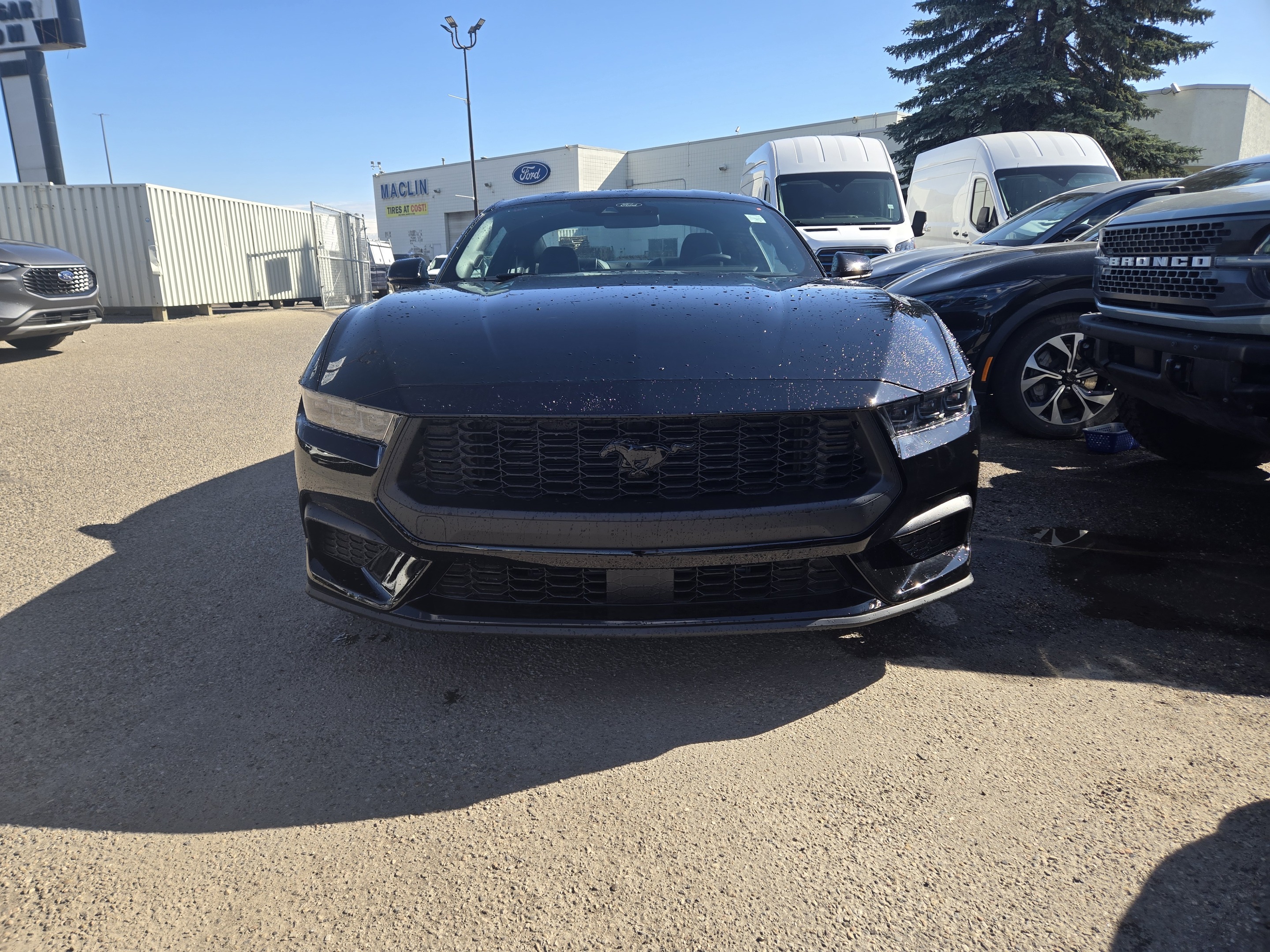 2025 Ford Mustang ECOBOOST PREMIUM | NITE PONY PKG | SECURITY PKG 