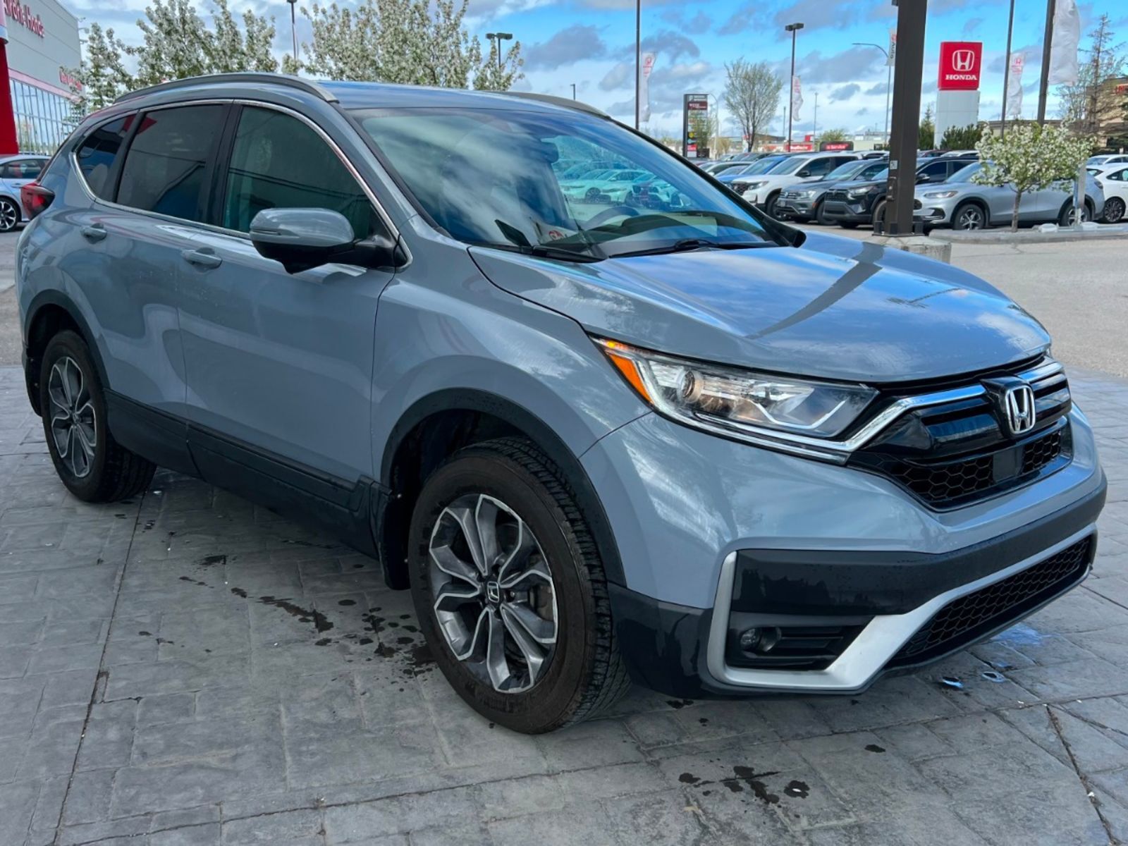 2020 Honda CR-V EX-L: No Accidents, Leather, Sunroof, AWD, Fully L