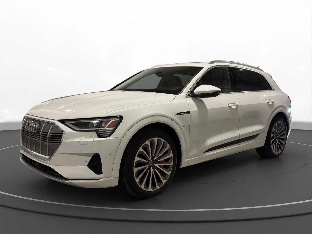 2019 Audi e-tron Technik