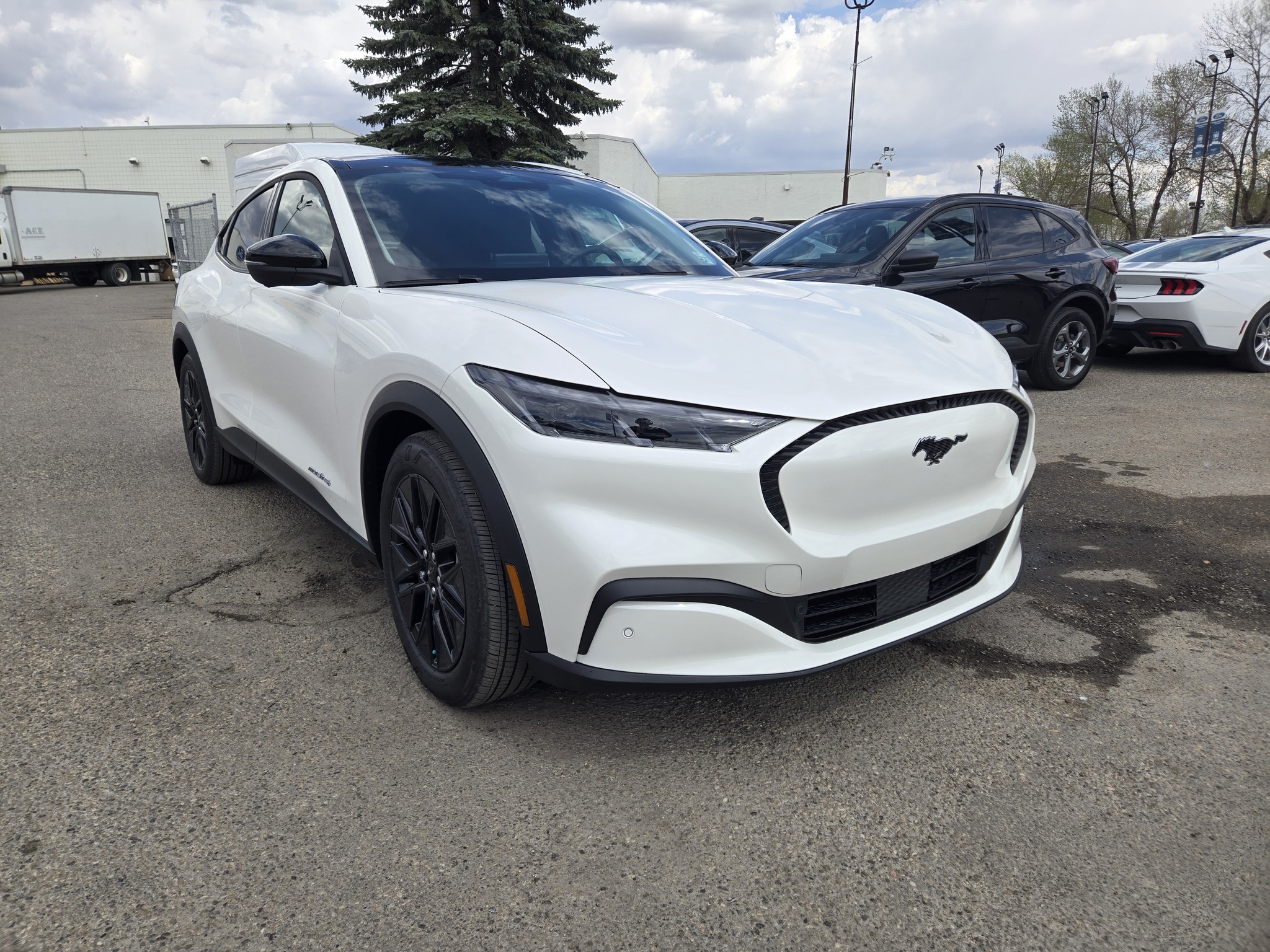 2024 Ford Mustang Mach-E