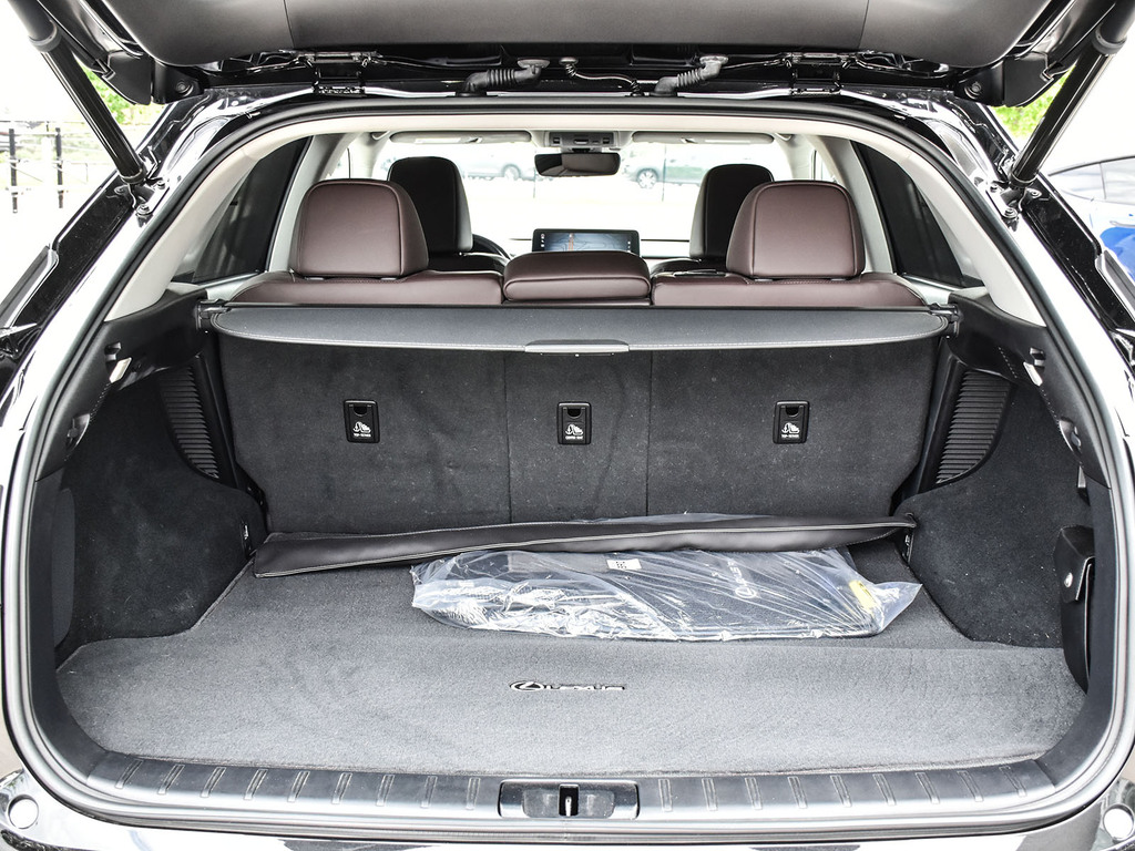 2020 Lexus RX 450h 450h, Toronto, Cash