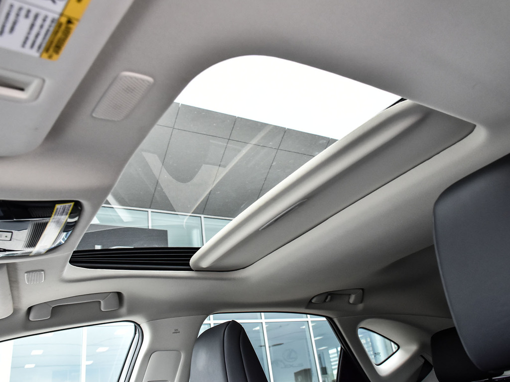 2024 Lexus NX 350 350, Toronto, Cash
