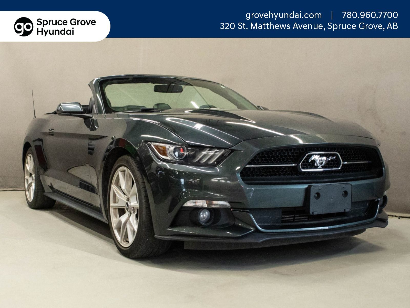 2015 Ford Mustang Premium: Heating and Cooling Seats, Nav, Memory Se