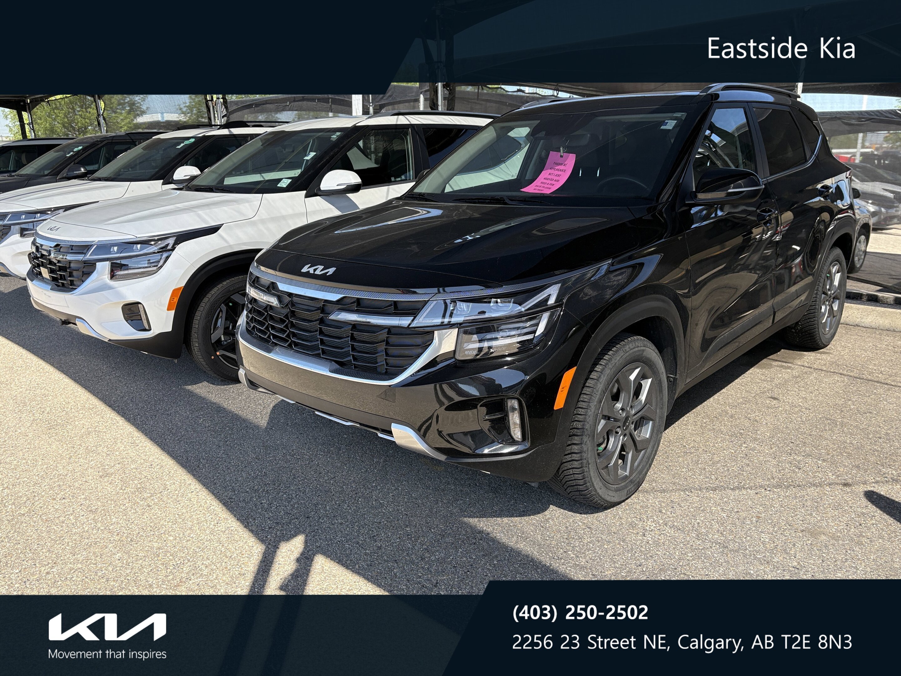 2024 Kia Seltos EX AWD | JUST ARRIVED