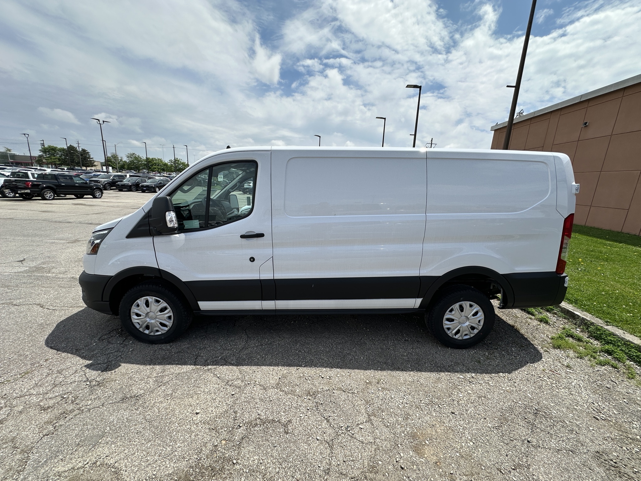2024 Ford Transit Cargo Van
