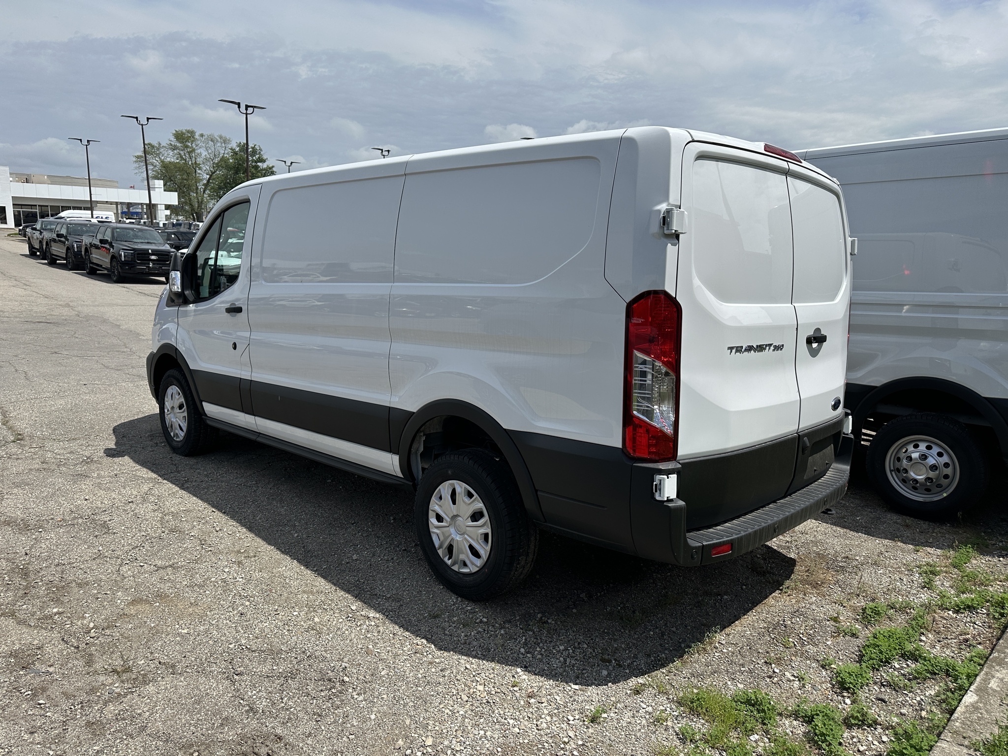 2024 Ford Transit Cargo Van