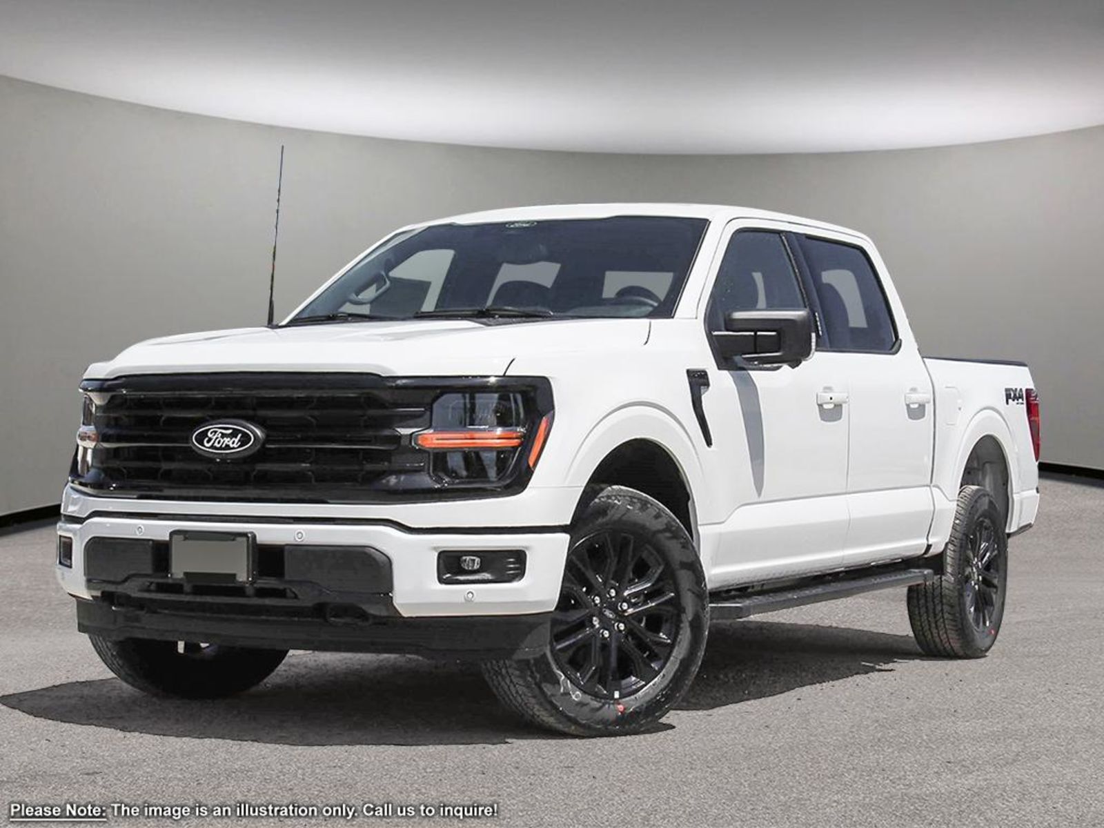 2025 Ford F-150 3.5L V6 ECOBOOST ENG, XLT, GVWR PKG, BLCK APPEARAN
