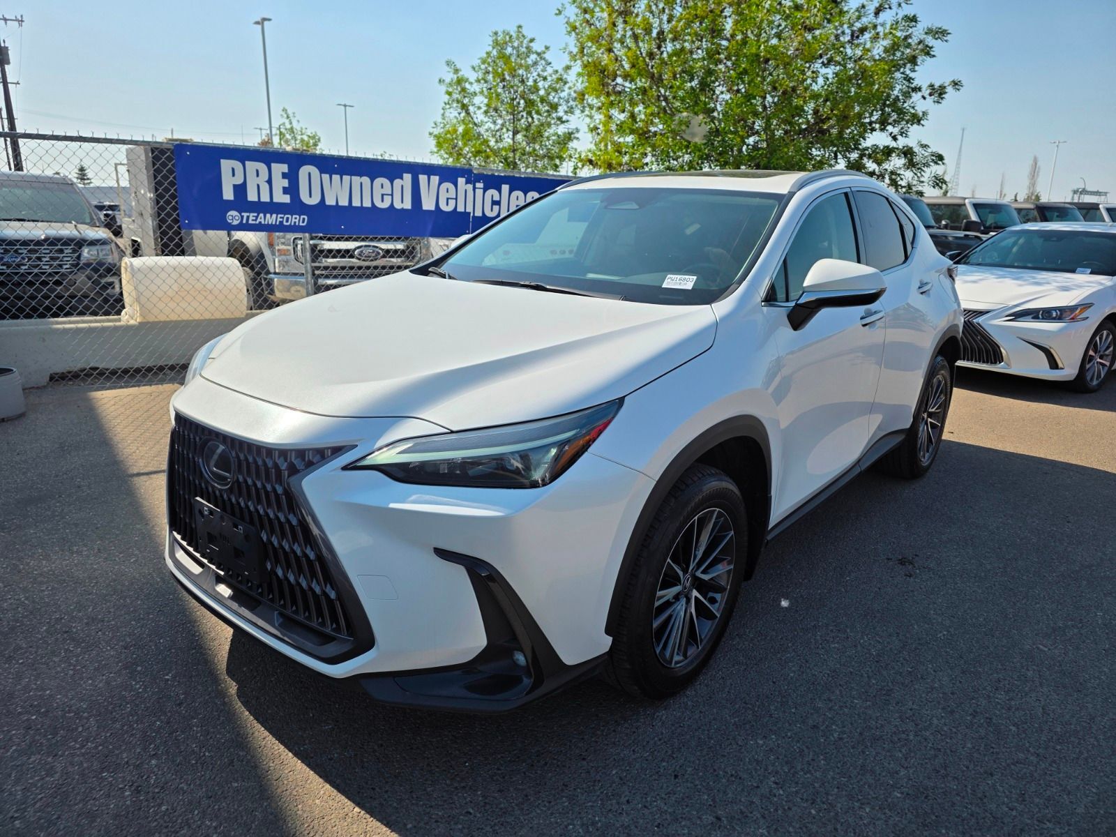 2024 Lexus NX NX350 -  AWD, LEATHER, SUNROOF, POWER TAILGATE, BL