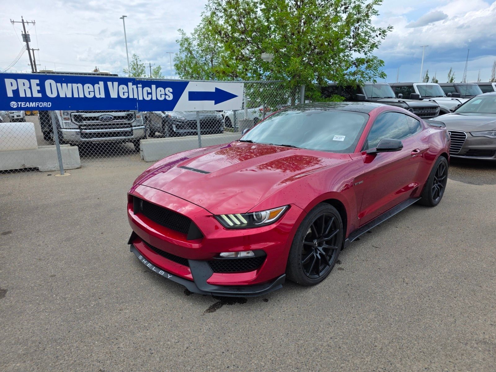 2017 Ford Mustang 5.2L V8 ENG, GT 350, CONVENIENCE PKG, REVERSE CAME