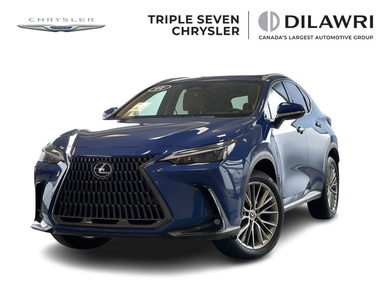 2024 Lexus NX 