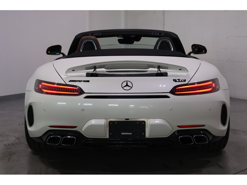 2020 Mercedes-Benz AMG GT C AMG GTC ROADSTER   CLEAN CARFAX   CARBON FIBRE TRI, Toronto, Cash