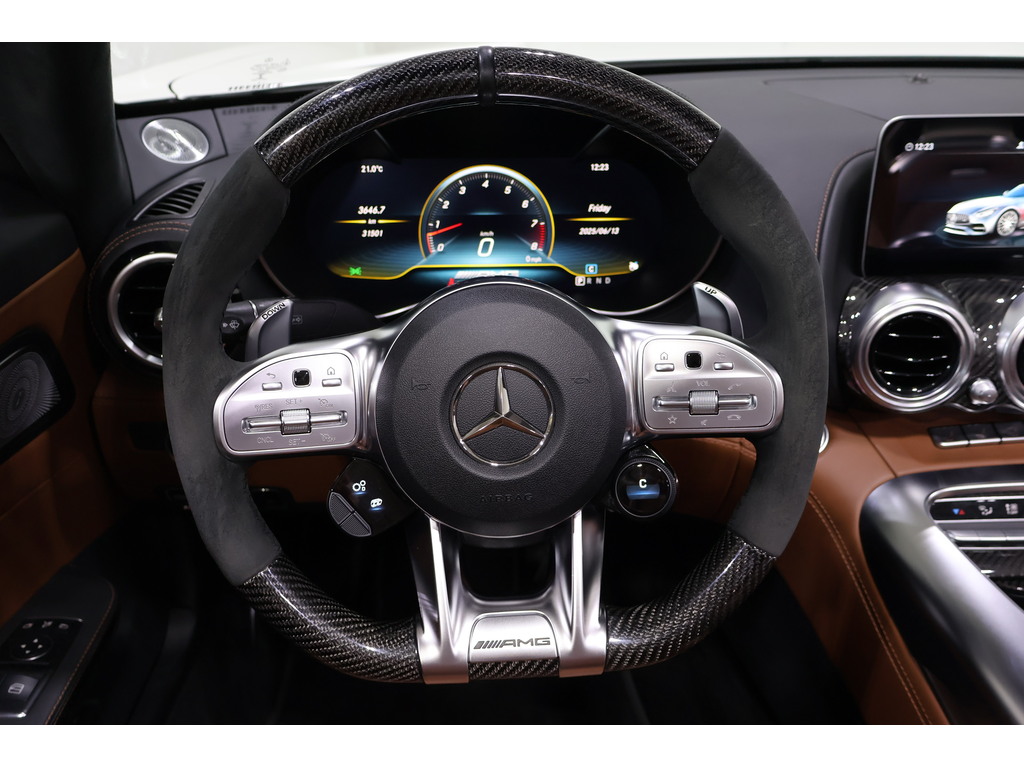 2020 Mercedes-Benz AMG GT C AMG GTC ROADSTER   CLEAN CARFAX   CARBON FIBRE TRI, Toronto, Cash