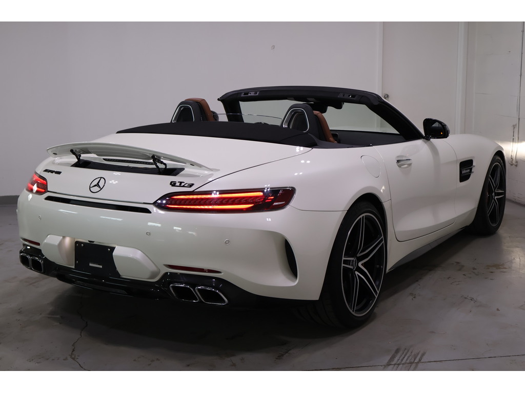 2020 Mercedes-Benz AMG GT C AMG GTC ROADSTER   CLEAN CARFAX   CARBON FIBRE TRI, Toronto, Cash