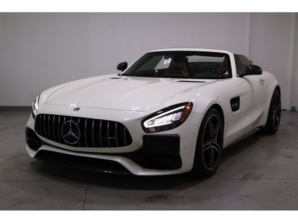 2020 Mercedes-Benz AMG GT C AMG GTC ROADSTER   CLEAN CARFAX   CARBON FIBRE TRI, Toronto, Cash